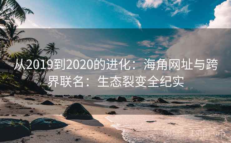 从2019到2020的进化：海角网址与跨界联名：生态裂变全纪实  第2张