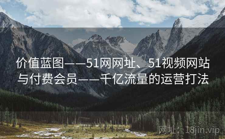 价值蓝图——51网网址、51视频网站与付费会员——千亿流量的运营打法  第1张