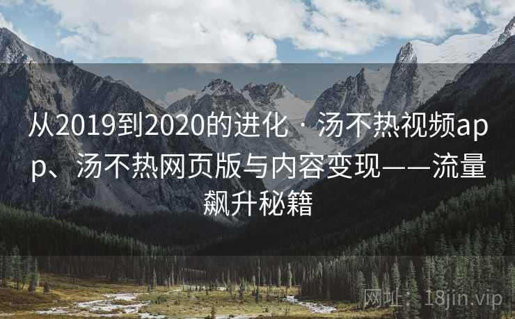 从2019到2020的进化 · 汤不热视频app、汤不热网页版与内容变现——流量飙升秘籍