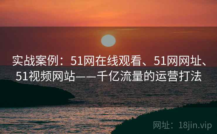 实战案例：51网在线观看、51网网址、51视频网站——千亿流量的运营打法