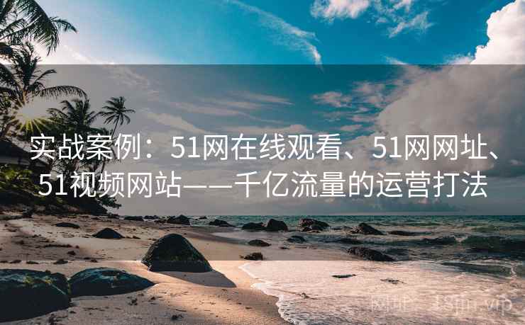 实战案例：51网在线观看、51网网址、51视频网站——千亿流量的运营打法
