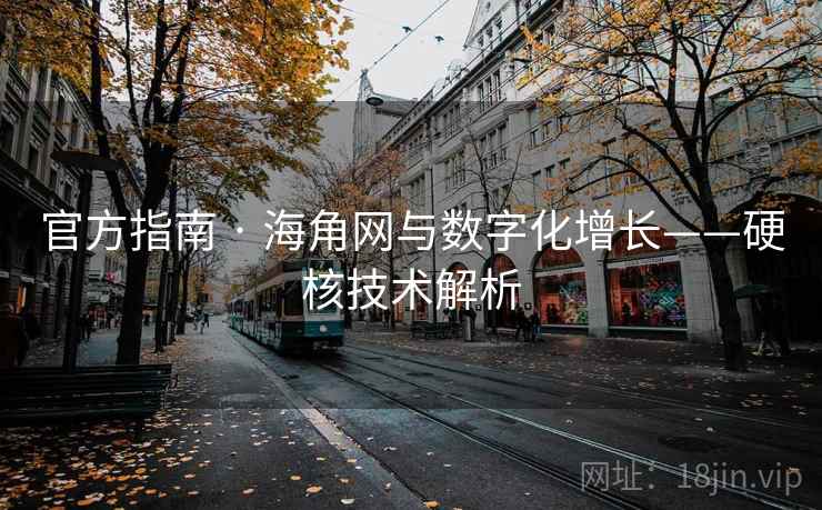 官方指南 · 海角网与数字化增长——硬核技术解析