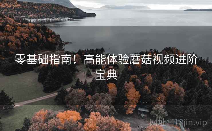 零基础指南！高能体验蘑菇视频进阶宝典  第2张