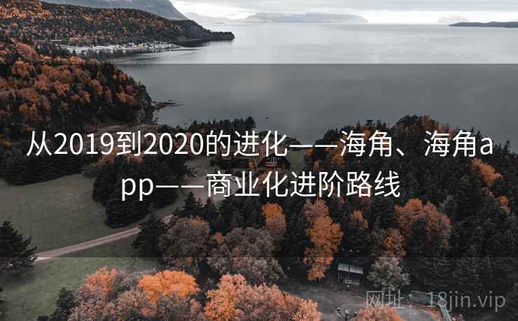 从2019到2020的进化——海角、海角app——商业化进阶路线