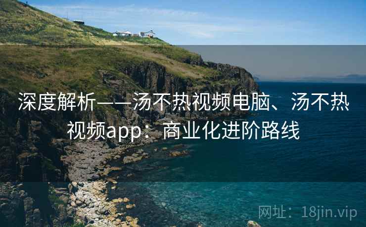 深度解析——汤不热视频电脑、汤不热视频app：商业化进阶路线