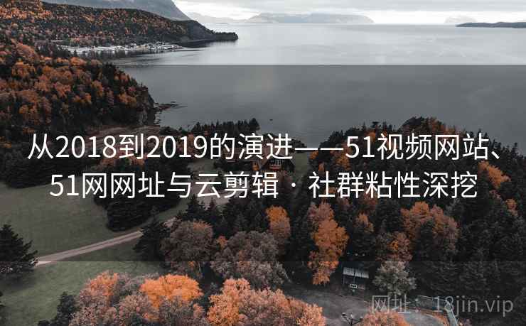 从2018到2019的演进——51视频网站、51网网址与云剪辑 · 社群粘性深挖