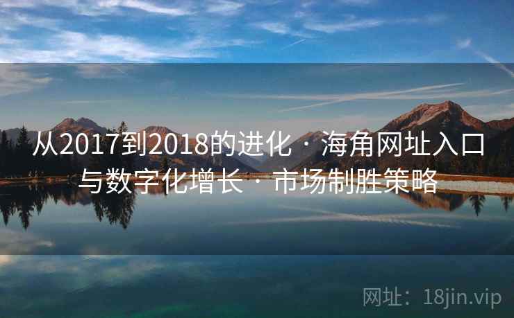 从2017到2018的进化 · 海角网址入口与数字化增长 · 市场制胜策略