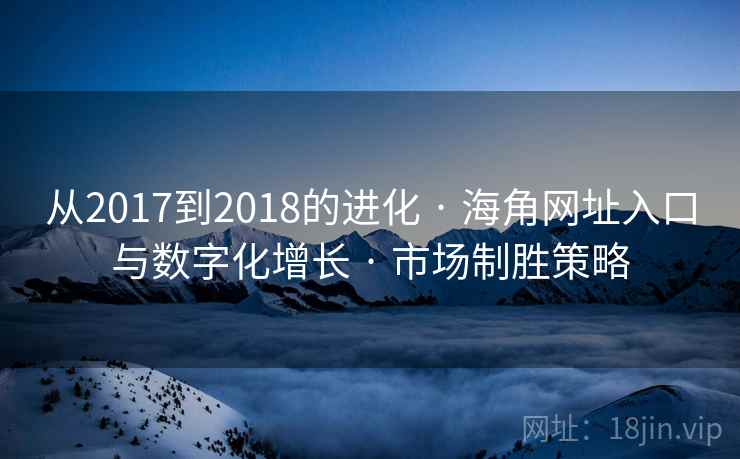 从2017到2018的进化 · 海角网址入口与数字化增长 · 市场制胜策略
