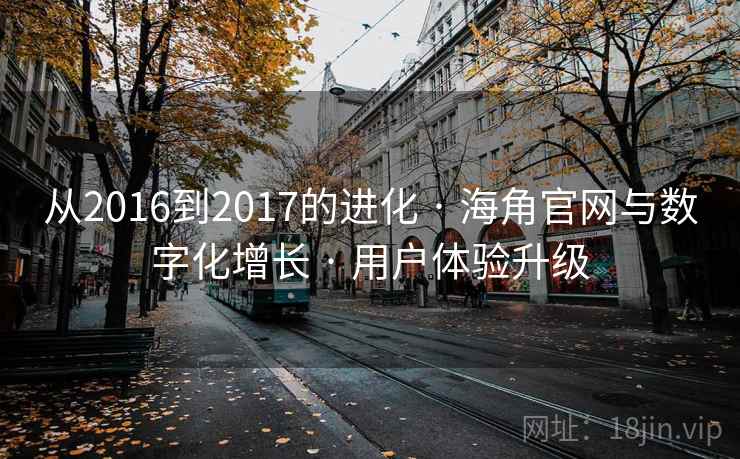 从2016到2017的进化 · 海角官网与数字化增长 · 用户体验升级