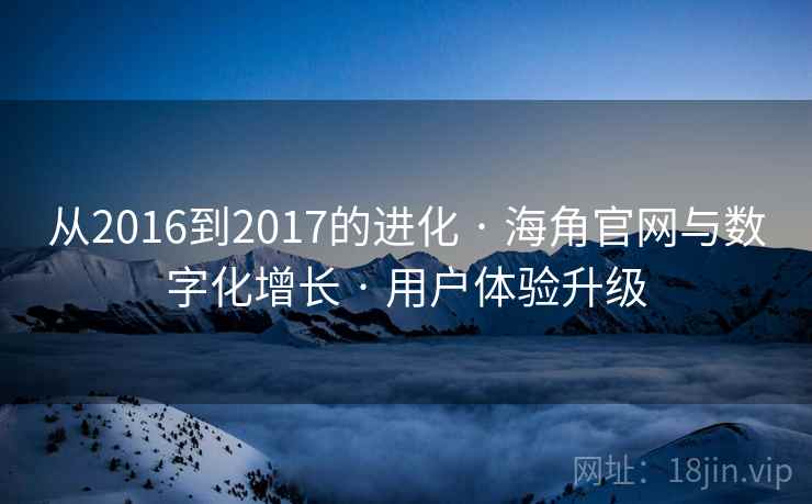 从2016到2017的进化 · 海角官网与数字化增长 · 用户体验升级
