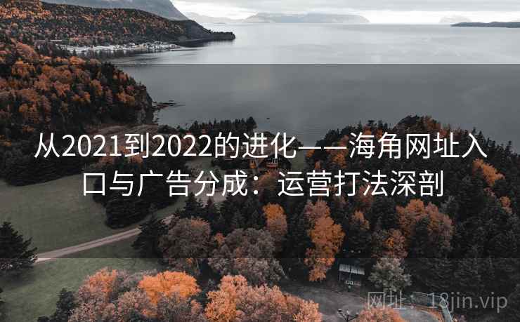 从2021到2022的进化——海角网址入口与广告分成：运营打法深剖