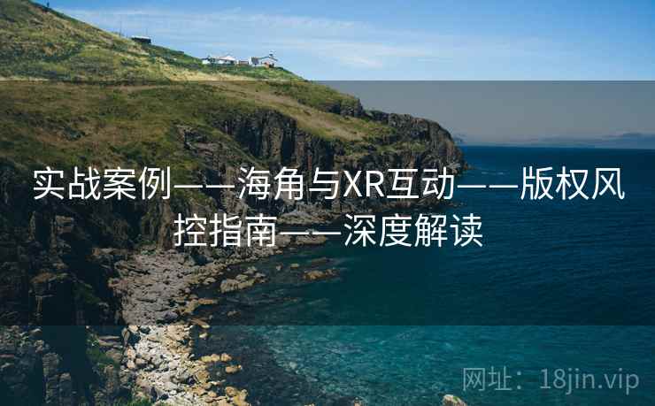 实战案例——海角与XR互动——版权风控指南——深度解读