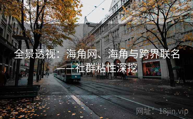 全景透视：海角网、海角与跨界联名——社群粘性深挖